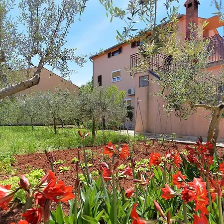 Apartment Andela 250